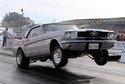 Melissa's Hot '66