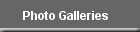 Photo Gallery